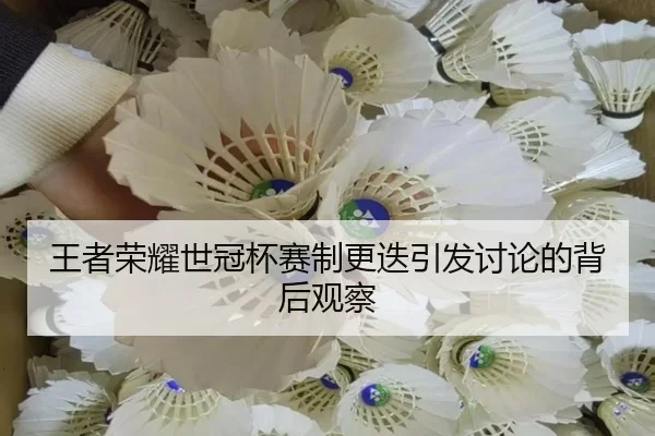 王者荣耀世冠杯赛制更迭引发讨论的背后观察